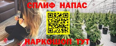 молекула духа Малгобек